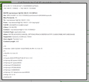 SIP Packet Inspection